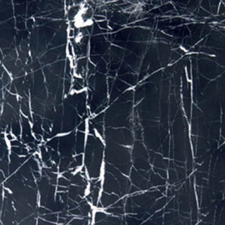 Picture of MS International - Marble 12 x 12 Polished China Black w/ Vein