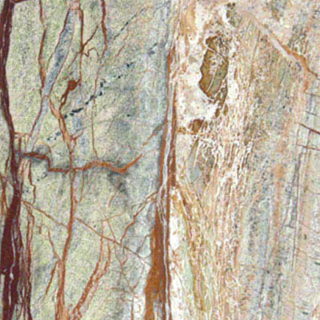 Picture of MS International - Marble 12 x 12 Polished Rain Forest