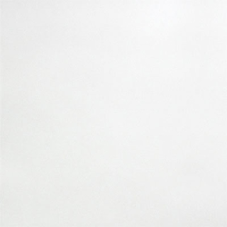 Picture of Anatolia Tile & Stone - Satin 13 x 13 White