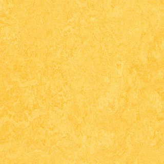 Picture of Forbo - Marmoleum Modular Color 10 x 10 Lemon Zest