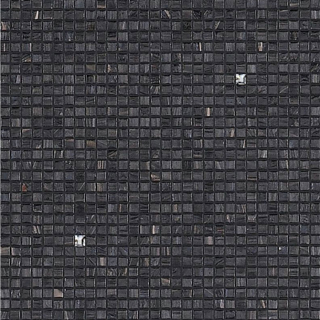 Picture of Bisazza Mosaico - Decori 10 - Rain Rain Black
