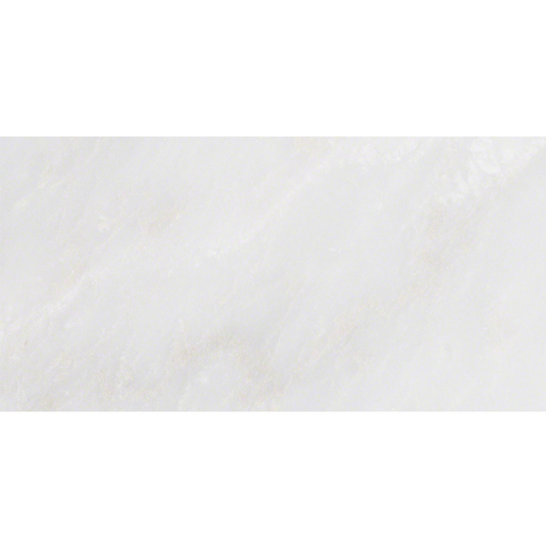 Picture of MS International - Marble 12 x 24 Honed Arabescato Carrara