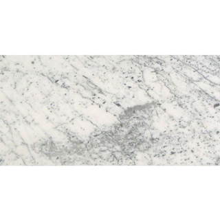 Picture of MS International - Marble 12 x 24 Honed Carrara White