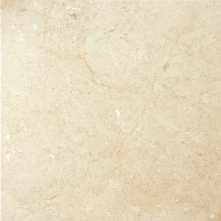 Picture of Emser Tile - Marble 18 x 18 Polished Crema Marfil Plus