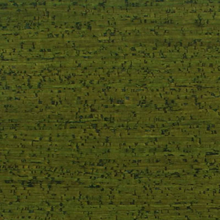 Picture of Globus Cork - Striata Texture 18 x 36 Spring Green