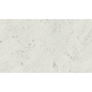 Picture of Stone Peak - Classic 2.0 12 x 24 Honed Bianco Carrara