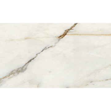 Picture of Stone Peak - Classic 2.0 12 x 24 Honed Calacatta oro