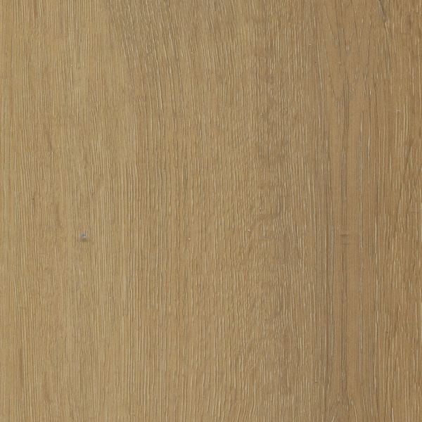 Picture of multiCore - One Auburn Oak