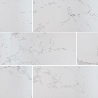 Picture of MS International - Praia 12 x 24 Polished Carrara