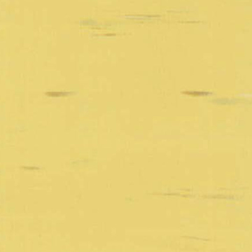 Picture of Rikett - RQT Classic 12 x 24 Honey Mustard