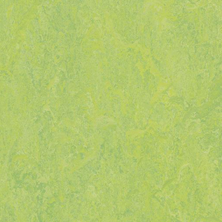 Picture of Forbo - Marmoleum Modular Color 20 x 20 Refreshing Green