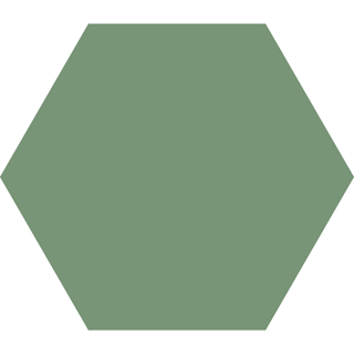 Picture of Codicer - Hex 25 Basic Forest