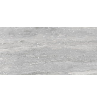 Picture of American Wonder Porcelain - Enduring 12 x 24 Light Gray