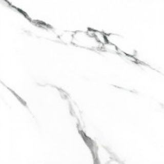 Picture of Eleganza Tiles - Statuario Extra Moderne 24 x 24 Polished White