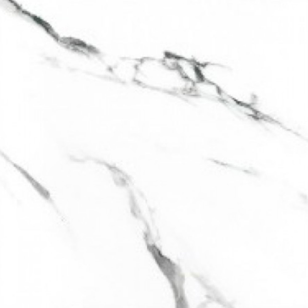 Picture of Eleganza Tiles - Statuario Extra Moderne 24 x 24 Polished White