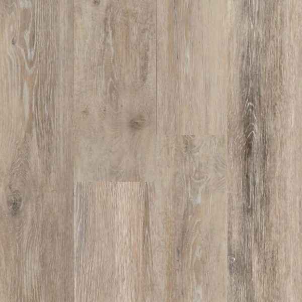 Picture of Signature Collection - Tuscan Coast Augustus