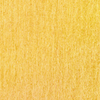 Picture of Tarkett - IQ Optima 12 x 12 Yellow Mustard