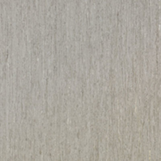 Picture of Tarkett - IQ Optima 12 x 24 Koala Bear