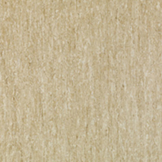 Picture of Tarkett - IQ Optima 12 x 24 Malt