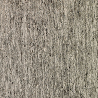 Picture of Tarkett - IQ Optima 12 x 24 SaltNPep