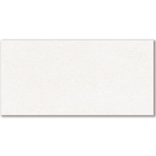 Picture of American Wonder Porcelain - Mars Stone II 24 x 48 Matte White Dune