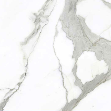 Picture of American Wonder Porcelain - Preeminent II 24 x 24 Matte White