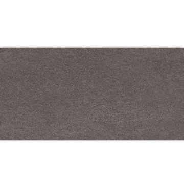 Picture of American Wonder Porcelain - Mars Stone II 24 x 48 Polished Ash Valley