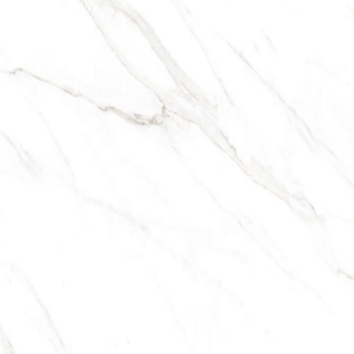 Picture of American Wonder Porcelain - Sherron 24 x 24 Matte White