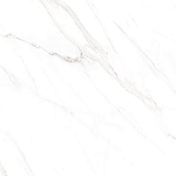Picture of American Wonder Porcelain - Sherron 24 x 24 Matte White