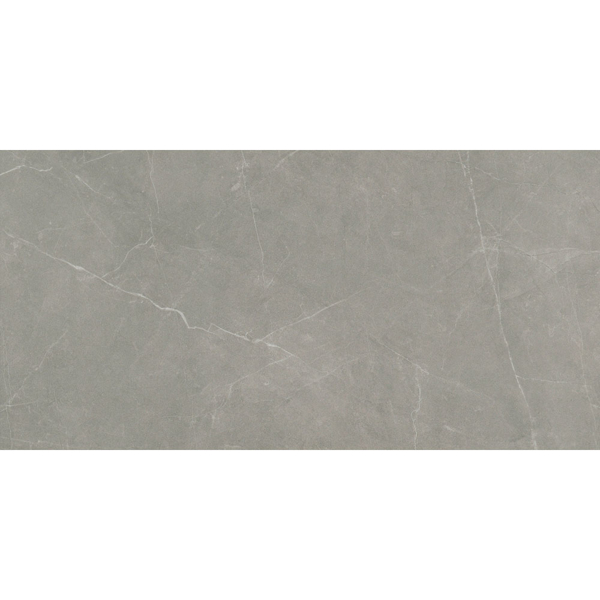 Picture of Emser Tile - Sterlina II 24 x 47 Polished Dove