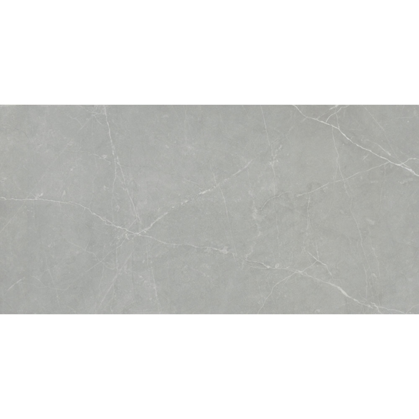 Picture of Emser Tile - Sterlina II 24 x 47 Polished Gray