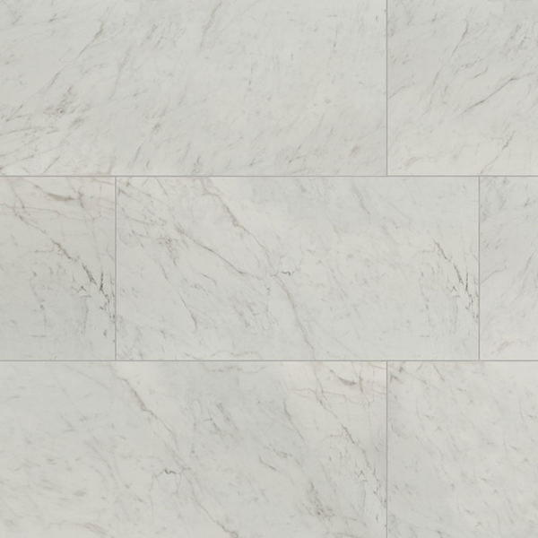 Picture of MS International - Kaya 24 x 48 Carrara-Bianco Matte