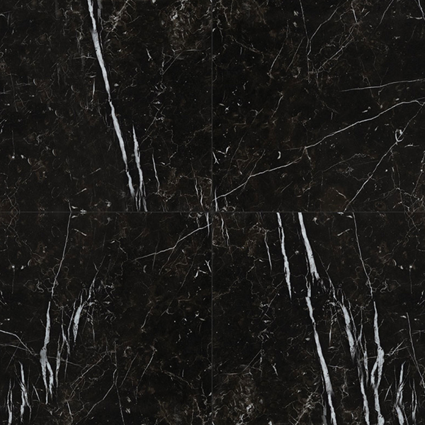 Picture of MS International - Regallo 24 x 24 Marquina-Noir Matte