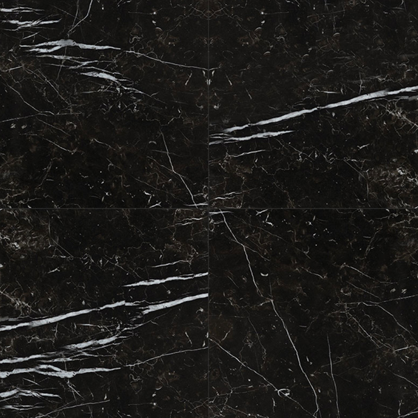 Picture of MS International - Regallo 24 x 24 Marquina-Noir Polished