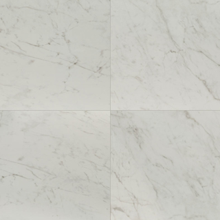 Picture of MS International - Kaya 24 x 24 Carrara-Bianco Polished