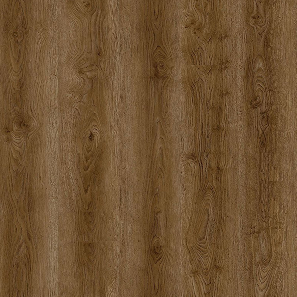 Picture of Ace Flooring - Aquacore XL Bergen Hills