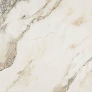 Picture of SOHO Studio Corp - Lithe 24 x 24 Polished Calacatta Rustico