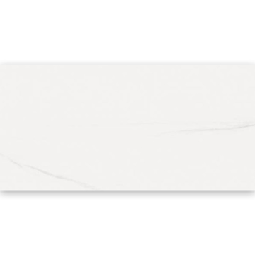 Picture of Refin - Dolomite 12 x 24 Dolomite Matte