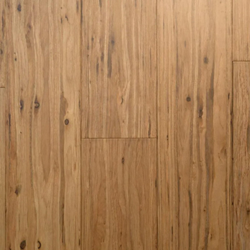 Picture of Tesoro Woods - Eucalyptus Champagne
