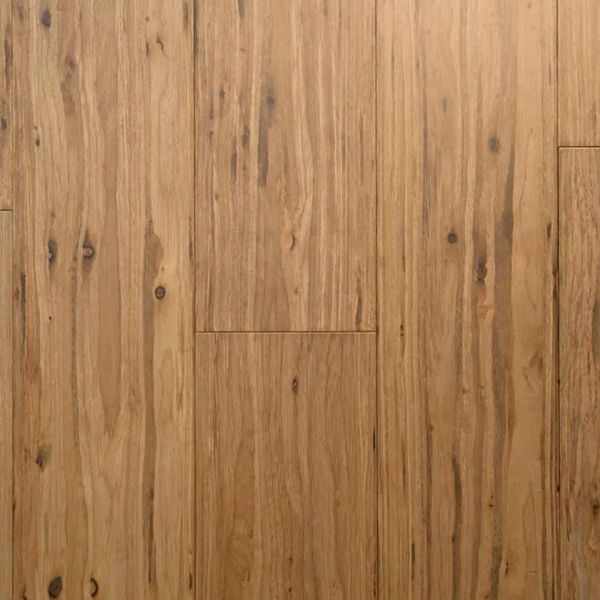 Picture of Tesoro Woods - Eucalyptus Champagne