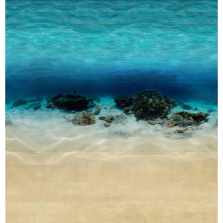 Picture of Perfection Floor Tile - Spaces Coral Reef