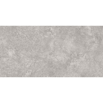 Picture of American Wonder Porcelain - Sonoran Plateau 24 x 48 Gray Ridge Matte