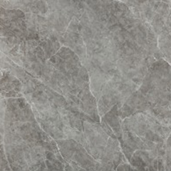 Picture of Eleganza Tiles - Morvedre 36 x 36 Gris Matte