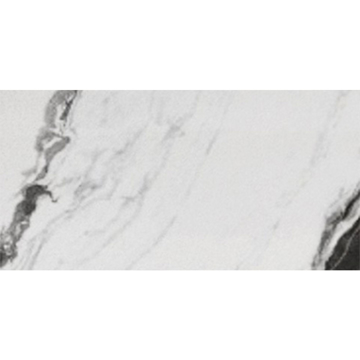 Picture of Eleganza Tiles - Panda 12 x 24 Wave Polished