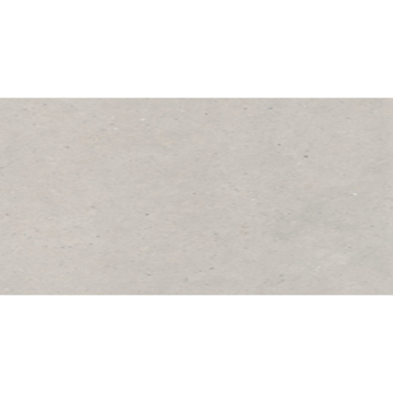 Picture of Eleganza Tiles - Silver Grain 24 x 48 Grey Matte