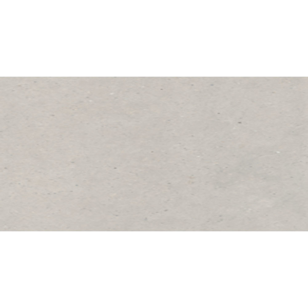 Picture of Eleganza Tiles - Silver Grain 24 x 48 Grey Matte