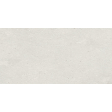 Picture of Eleganza Tiles - Silver Grain 24 x 48 White Matte