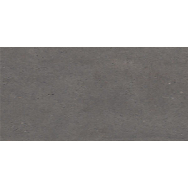 Picture of Eleganza Tiles - Silver Grain 24 x 48 Dark Anti-Slip