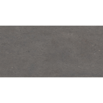 Picture of Eleganza Tiles - Silver Grain 24 x 48 Dark Matte