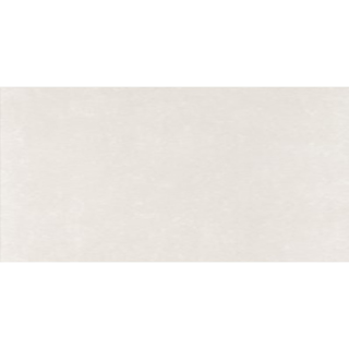 Picture of Eleganza Tiles - Start 24 x 48 Light Matte